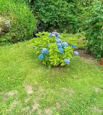 Cabanelas - Casa Do Luis بيت للعطل فالي دي كامبرا