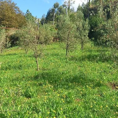 بيت للعطل Cabanelas - Casa Do Luis