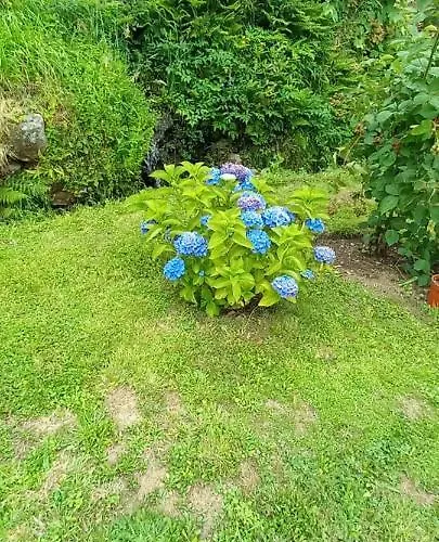 Cabanelas - Casa Do Luis Σπίτι διακοπών Vale de Cambra