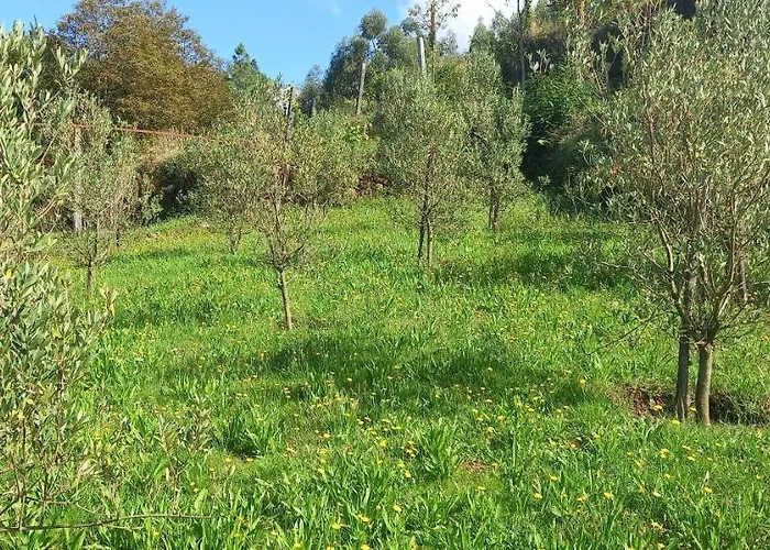 Дом отдыха Cabanelas - Casa Do Luis